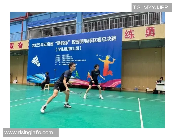 南京羽毛球队总决赛精彩点评展现团队力量与拼搏精神