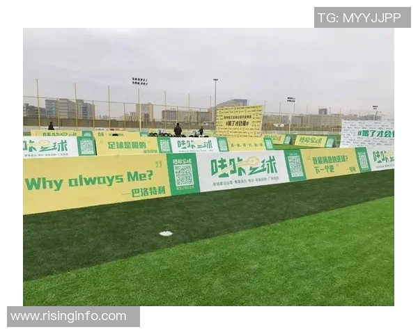 陈娜独家分享足球心得与技巧解析助你成为球场高手 陈娜独家分享足球心得与技巧解析助你成为球场高手