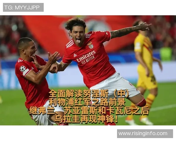 努涅斯的崛起与挑战：从新星到足坛巨星的蜕变之路