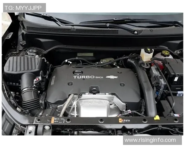 阿青年与福伦丹的激烈对决谁能在这场较量中笑到最后 阿青年与福伦丹的激烈对决谁能在这场较量中笑到最后