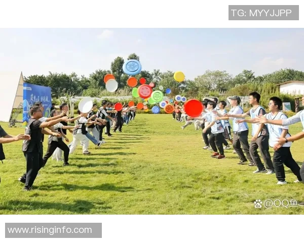 飞盘运动的魅力与挑战：深入探讨北京飞盘队的灵活性与团队协作MBA