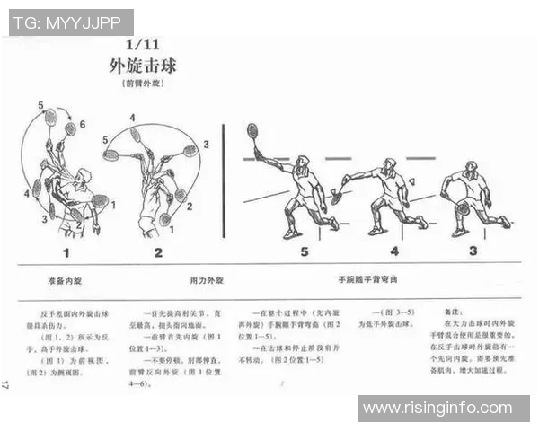 科学网球力量训练全攻略提升击球力量与技术的完美结合 科学网球力量训练全攻略提升击球力量与技术的完美结合