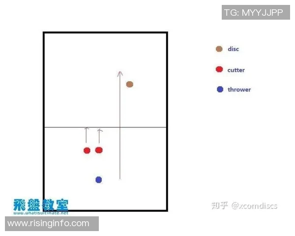 飞盘热潮下的北京飞盘队运营模式与发展策略深度解析