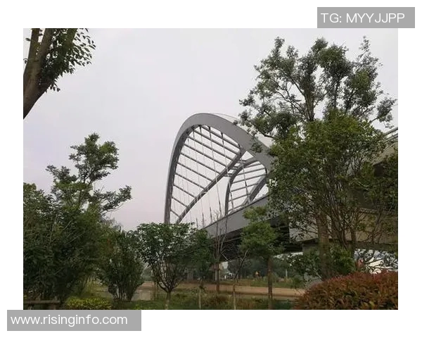 黄磊的CSGO人生深度对话揭秘游戏背后的热爱与坚持