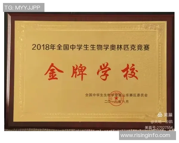 重庆乒乓球队的辉煌征程与大满贯梦想的追逐之路